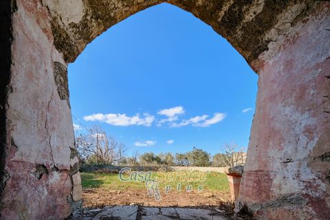 Landejendom i Alezio, Lecce, Alezio - € 80.000 | Ref: ALIL-RP-80 - foto 18
