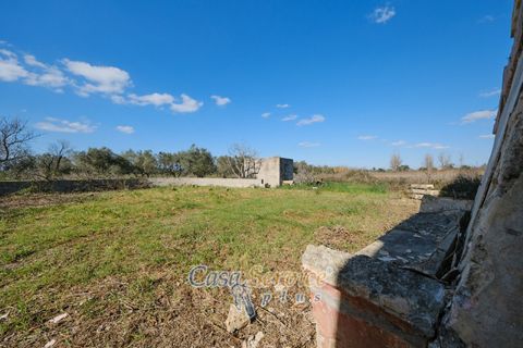 Landejendom i Alezio, Lecce, Alezio - € 80.000 | Ref: ALIL-RP-80 - foto 19