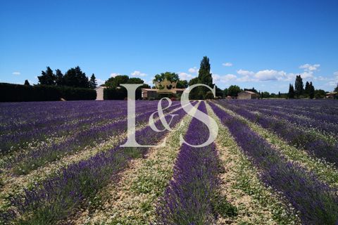 Farm hus i Orange, Vaucluse, Orange - € 1.590.000 | Ref: 2661 - foto 6