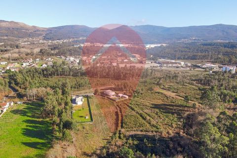 Helårsgrund i Gandra e Taiao, Viana do Castelo, Gandra e Taiao - € 35.000 | Ref: TER_207 - foto 5