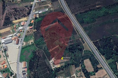 Helårsgrund i Gandra e Taiao, Viana do Castelo, Gandra e Taiao - € 35.000 | Ref: TER_207 - foto 7