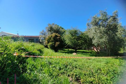 Helårsgrund i Coimbra, Coimbra, Coimbra - € 100.000 | Ref: WO480 - foto 2