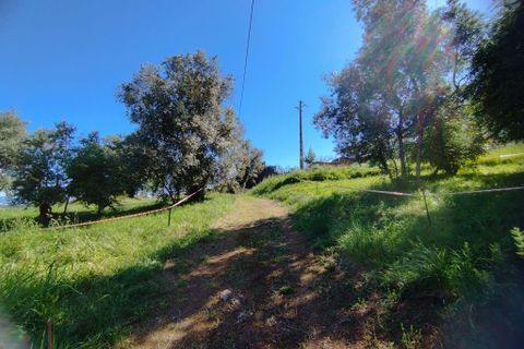 Helårsgrund i Coimbra, Coimbra, Coimbra - € 100.000 | Ref: WO480 - foto 3