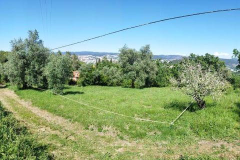Helårsgrund i Coimbra, Coimbra, Coimbra - € 100.000 | Ref: WO480 - foto 4