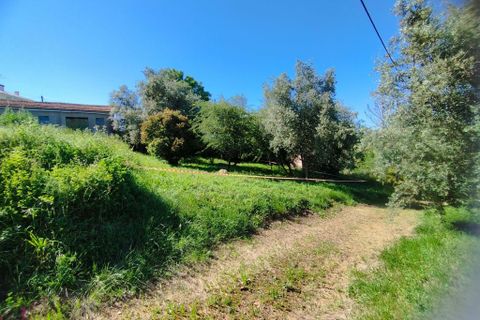 Helårsgrund i Coimbra, Coimbra, Coimbra - € 100.000 | Ref: WO480 - foto 6