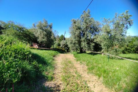 Helårsgrund i Coimbra, Coimbra, Coimbra - € 100.000 | Ref: WO480 - foto 8