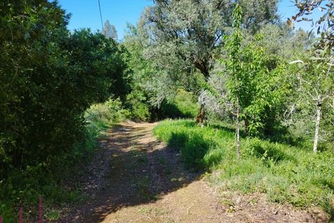 Helårsgrund i Coimbra, Coimbra, Coimbra - € 100.000 | Ref: WO480 - foto 9