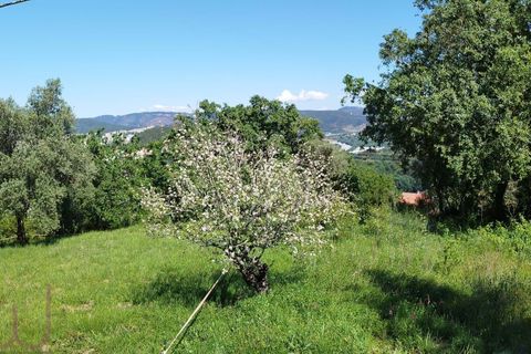Helårsgrund i Coimbra, Coimbra, Coimbra - € 100.000 | Ref: WO480 - foto 10