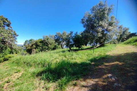 Helårsgrund i Coimbra, Coimbra, Coimbra - € 100.000 | Ref: WO480 - foto 11