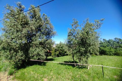 Helårsgrund i Coimbra, Coimbra, Coimbra - € 100.000 | Ref: WO480 - foto 12