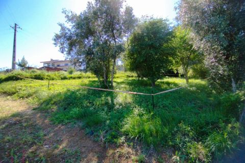 Helårsgrund i Coimbra, Coimbra, Coimbra - € 100.000 | Ref: WO480 - foto 13