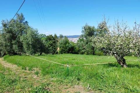 Helårsgrund i Coimbra, Coimbra, Coimbra - € 100.000 | Ref: WO480 - foto 15