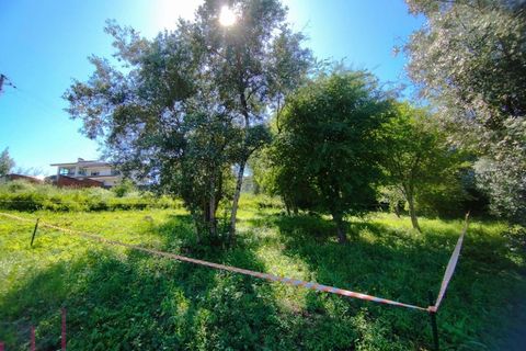 Helårsgrund i Coimbra, Coimbra, Coimbra - € 100.000 | Ref: WO480 - foto 17