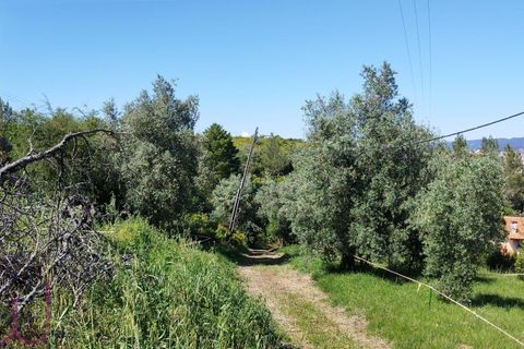 Helårsgrund i Coimbra, Coimbra, Coimbra - € 100.000 | Ref: WO480 - foto 18