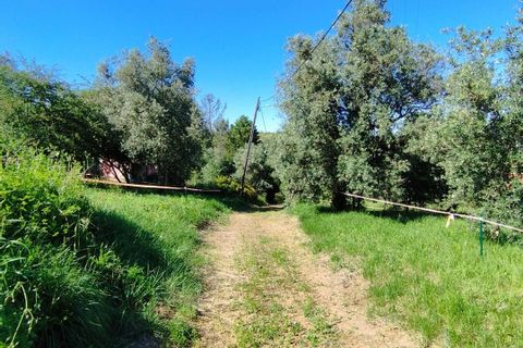 Helårsgrund i Coimbra, Coimbra, Coimbra - € 100.000 | Ref: WO480 - foto 19