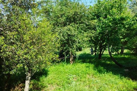 Helårsgrund i Coimbra, Coimbra, Coimbra - € 100.000 | Ref: WO480 - foto 22