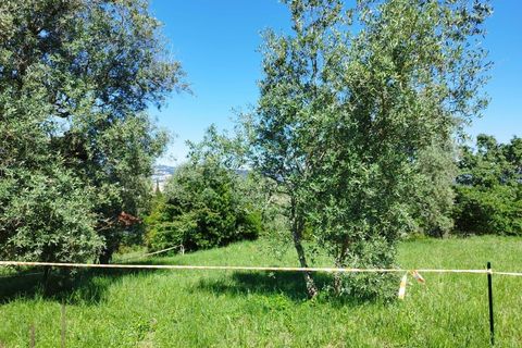Helårsgrund i Coimbra, Coimbra, Coimbra - € 100.000 | Ref: WO480 - foto 23