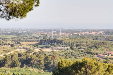 Landejendom i Maspujols, Tarragona, Maspujols - € 815.000 | Ref: TAR35110 - foto 46