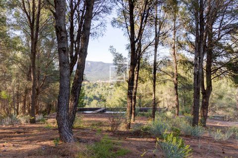 Landejendom i Maspujols, Tarragona, Maspujols - € 815.000 | Ref: TAR35110 - foto 49