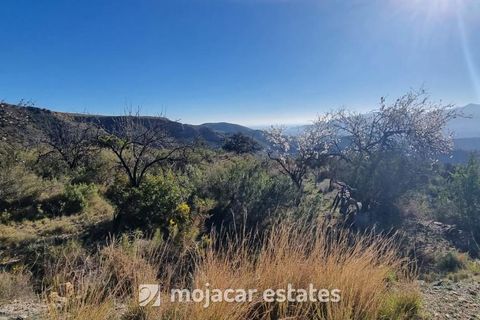 Terra a Bedar, Almeria, Bedar - € 119.000 | Ref: ME 2847 - foto 8