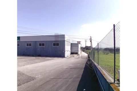 L'establiment comercial a Pernes, Santarem, Pernes - € 15.000/mes | Ref: NAU_6 - foto 2