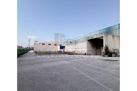 L'establiment comercial a Pernes, Santarem, Pernes - € 15.000/mes | Ref: NAU_6 - foto 3