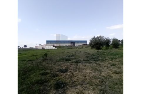 L'establiment comercial a Pernes, Santarem, Pernes - € 15.000/mes | Ref: NAU_6 - foto 4