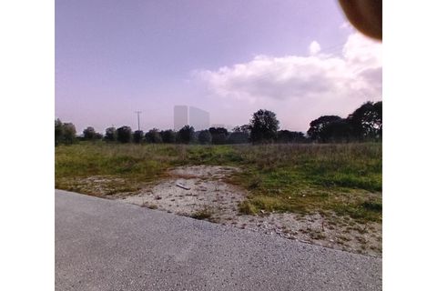 L'establiment comercial a Pernes, Santarem, Pernes - € 15.000/mes | Ref: NAU_6 - foto 5