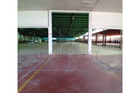 L'establiment comercial a Pernes, Santarem, Pernes - € 15.000/mes | Ref: NAU_6 - foto 8