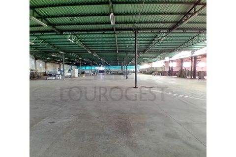 L'establiment comercial a Pernes, Santarem, Pernes - € 15.000/mes | Ref: NAU_6 - foto 9