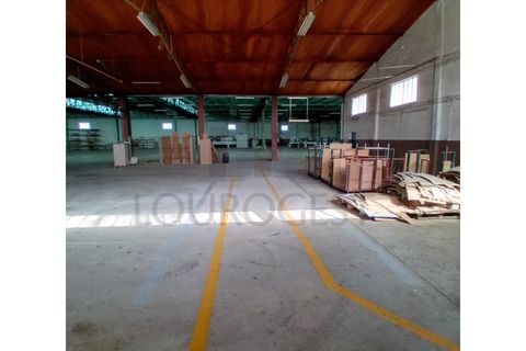 L'establiment comercial a Pernes, Santarem, Pernes - € 15.000/mes | Ref: NAU_6 - foto 12