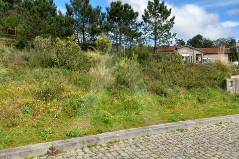 Terra a Mozelos, Aveiro, Mozelos - € 23.280 | Ref: 1060853/24 AL - foto 3