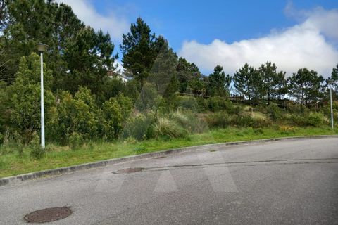 Terra a Mozelos, Aveiro, Mozelos - € 23.280 | Ref: 1060853/24 AL - foto 4