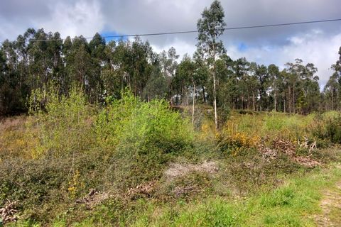 Helårsgrund i Cesar, Aveiro, Cesar - € 219.000 | Ref: 1060852/24 AL - foto 1
