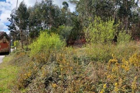 Helårsgrund i Cesar, Aveiro, Cesar - € 219.000 | Ref: 1060852/24 AL - foto 2