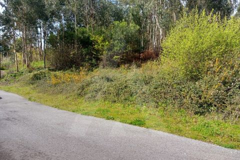 Helårsgrund i Cesar, Aveiro, Cesar - € 219.000 | Ref: 1060852/24 AL - foto 4
