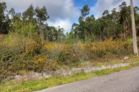 Helårsgrund i Cesar, Aveiro, Cesar - € 219.000 | Ref: 1060852/24 AL - foto 5