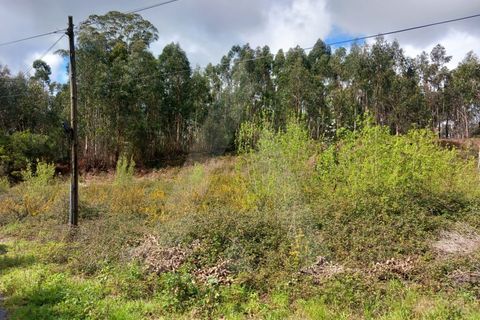 Helårsgrund i Cesar, Aveiro, Cesar - € 219.000 | Ref: 1060852/24 AL - foto 9