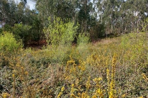 Helårsgrund i Cesar, Aveiro, Cesar - € 219.000 | Ref: 1060852/24 AL - foto 10