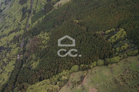 Helårsgrund i Sao Roque do Pico, Pico, Sao Roque do Pico - € 143.950 | Ref: 326/T/03550 - foto 7