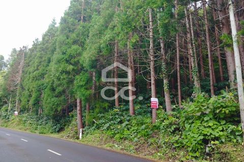 Helårsgrund i Sao Roque do Pico, Pico, Sao Roque do Pico - € 143.950 | Ref: 326/T/03550 - foto 2