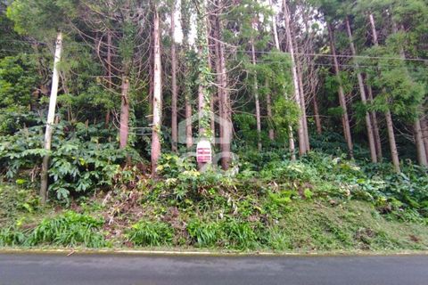 Helårsgrund i Sao Roque do Pico, Pico, Sao Roque do Pico - € 143.950 | Ref: 326/T/03550 - foto 10