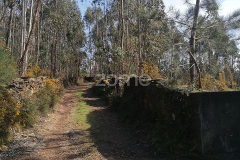 Helårsgrund i Braga, Braga, Braga - € 135.000 | Ref: ZMPT565579 - foto 18