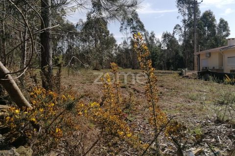Helårsgrund i Braga, Braga, Braga - € 135.000 | Ref: ZMPT565579 - foto 19