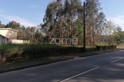 Helårsgrund i Braga, Braga, Braga - € 135.000 | Ref: ZMPT565579 - foto 8