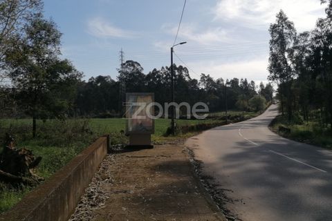 Helårsgrund i Braga, Braga, Braga - € 135.000 | Ref: ZMPT565579 - foto 10
