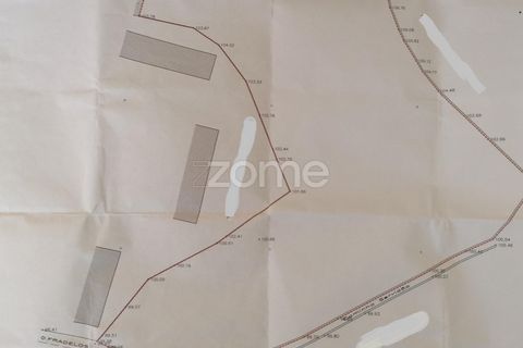 Helårsgrund i Braga, Braga, Braga - € 135.000 | Ref: ZMPT565579 - foto 20