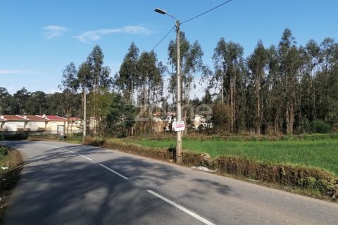 Helårsgrund i Braga, Braga, Braga - € 135.000 | Ref: ZMPT565579 - foto 9