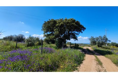 Helårsgrund i Moura, Beja, Moura - € 40.000 | Ref: JG2259 - foto 2