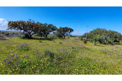 Helårsgrund i Moura, Beja, Moura - € 40.000 | Ref: JG2259 - foto 3
